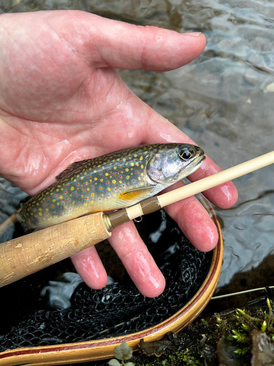Small Stream Trout Kit – Risen Fly