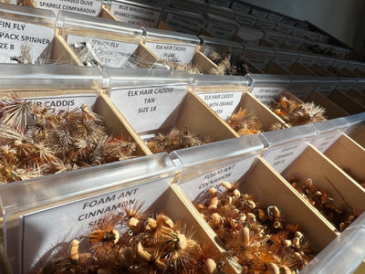 Buyers Guide - What Flies Should I Buy?