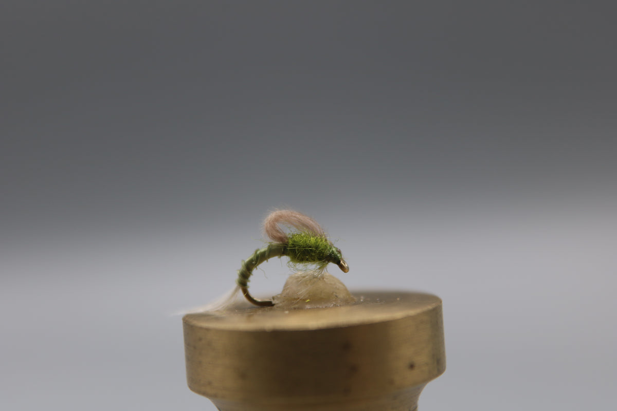 Blue Winged Olive CDC Loop Wing Emerger Dry – Risen Fly