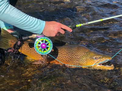 best fly rod and reel combo for steelhead Daiwa Float Fishing Spin Seattle Fishing Company Salmon and Steelhead Gear